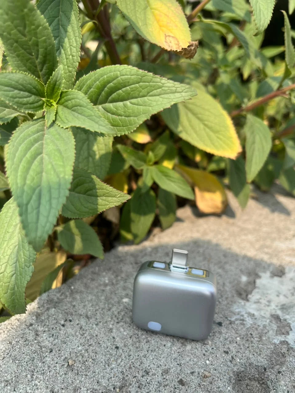 Auto Power Cut-Off Charging Protector | USB-C | Stops Charging at 100%